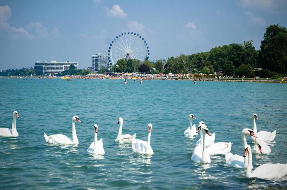 Siesta Sziget - Balaton-Parti Apartmanok Siofok Ngoại thất bức ảnh